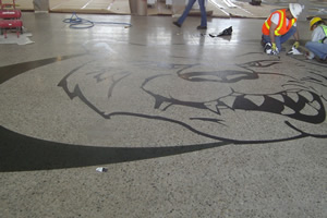 Albuquerque High School Murals
