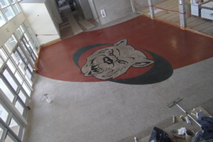Custom painted medallions and borders