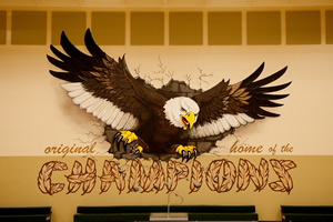 Professional Murals and Graphics