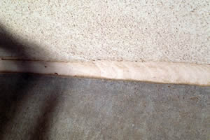 Polyurethane Sealants